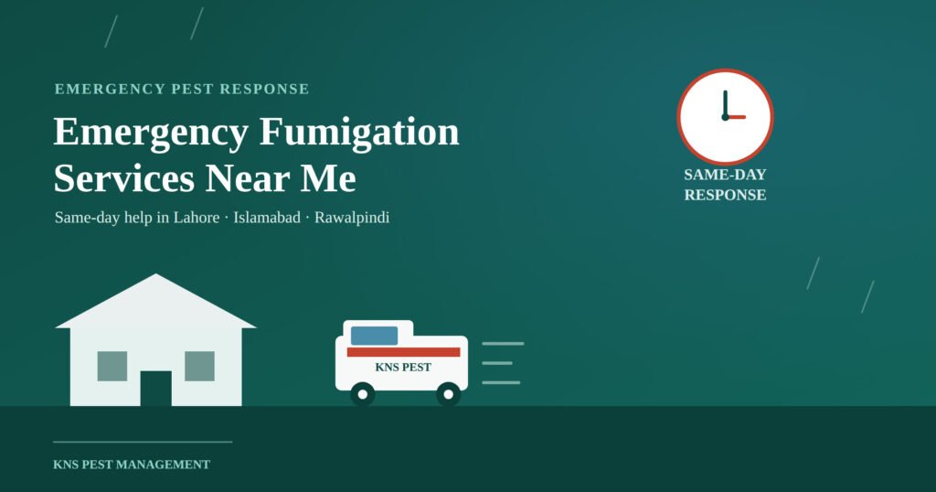 Current image: Emergency Fumigation Services