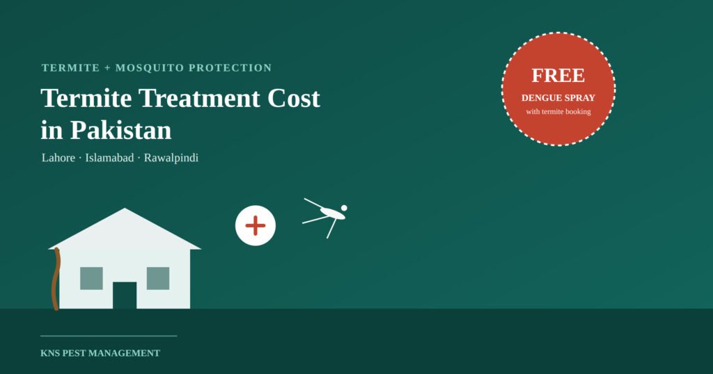 Termite Treatment Cost in Pakistan — Plus a Free Dengue Spray With Every Booking