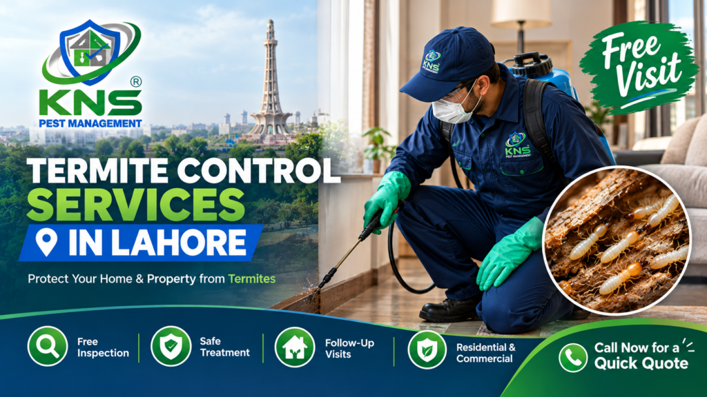 KNS Termite Control Services in Lahore