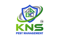 KNS_Pest_Management_Transparent