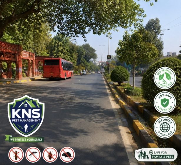 Model town